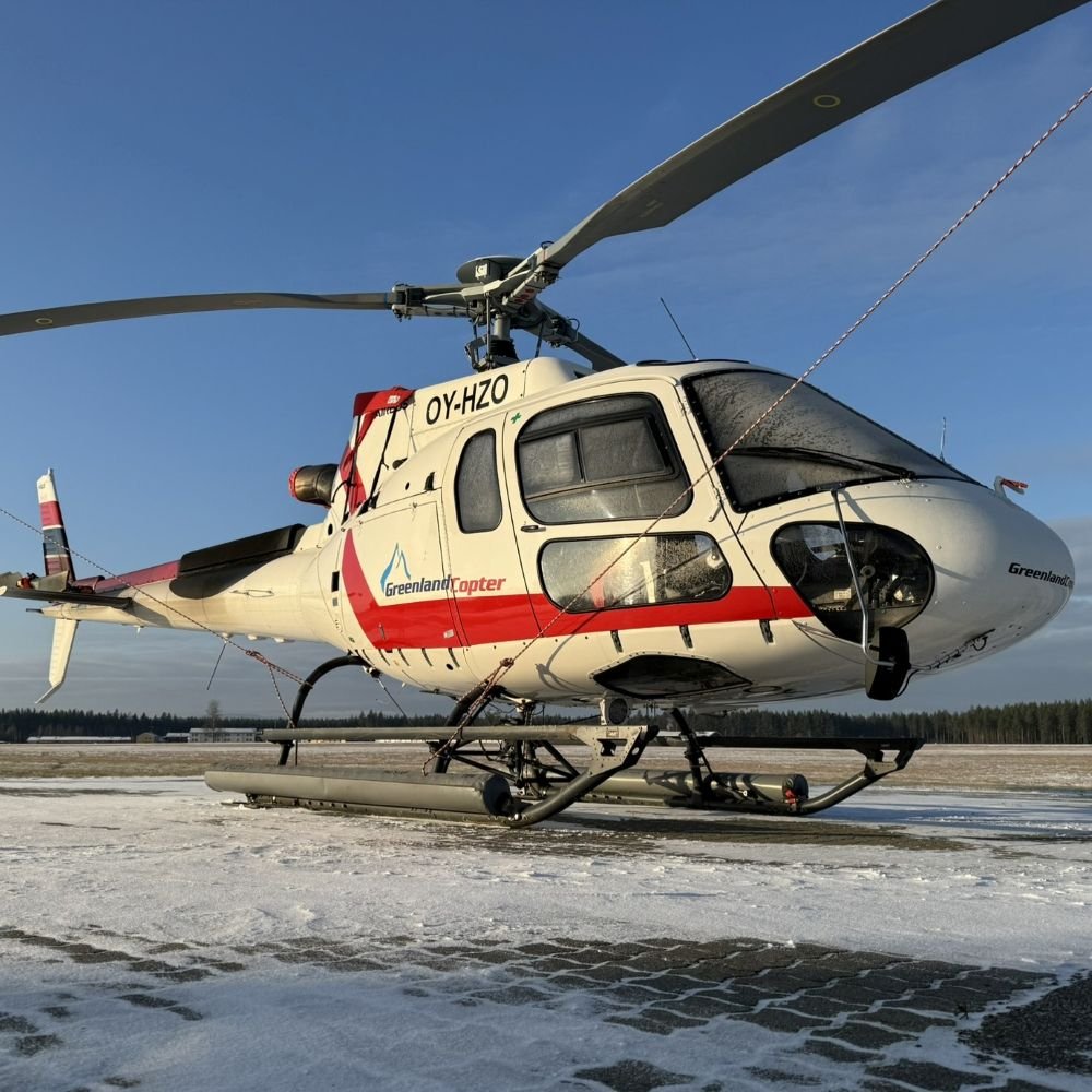 13. Airworthiness Review