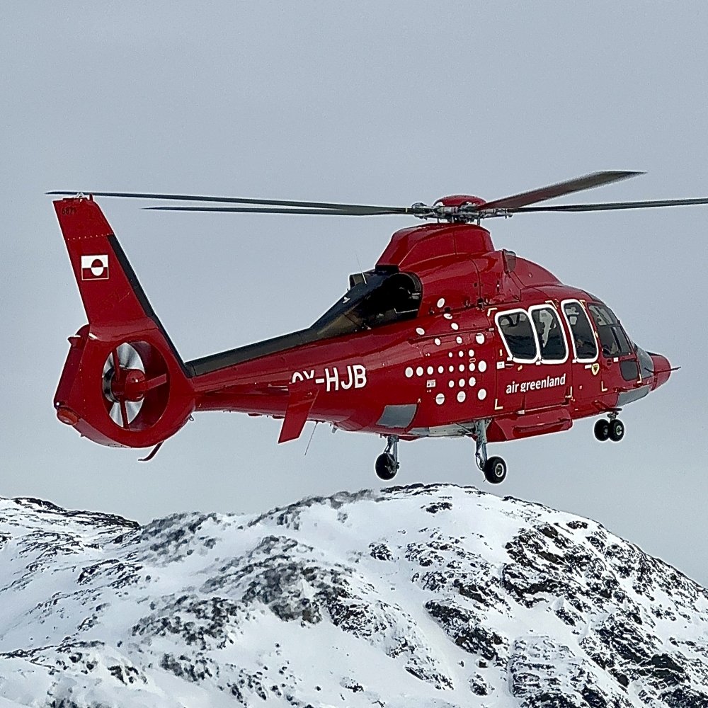 Airworthiness Review